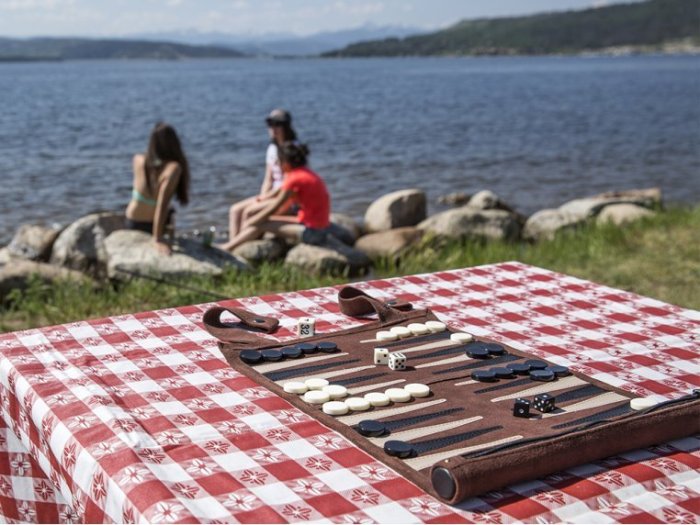 Roll-Up Travel Backgammon