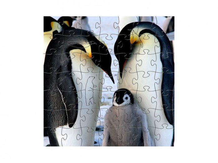 Children's Wooden Jigsaw Puzzle