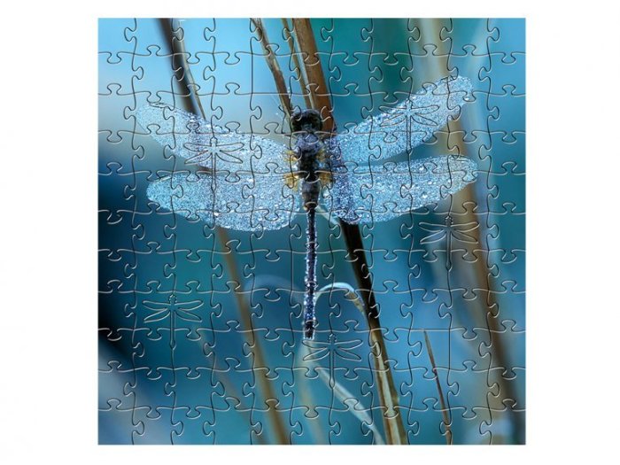 Small Wooden Jigsaw Puzzle