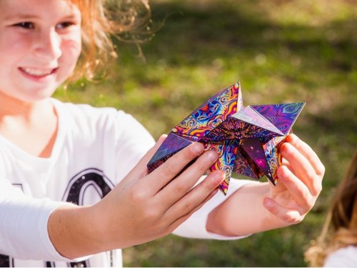 Shashibo Magnetic Puzzle Box