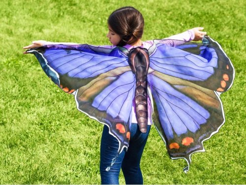 Butterfly Play Wings