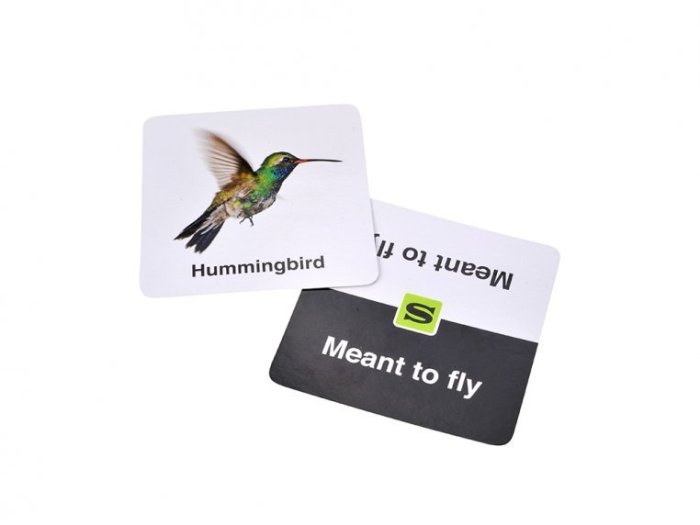 SLAPZI Card Game