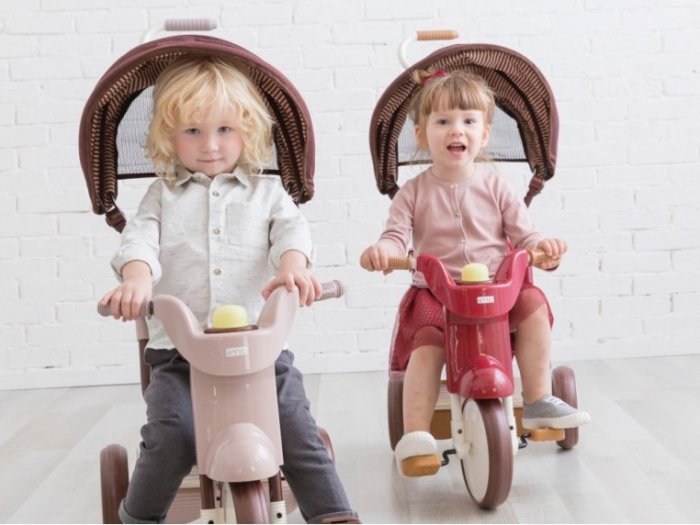 3-in-1 Folding Tricycle with Canopy