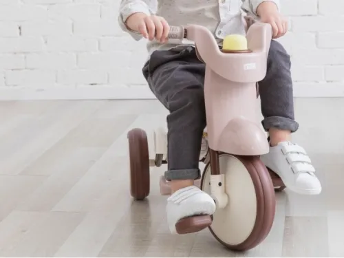 3-in-1 Folding Tricycle with Canopy