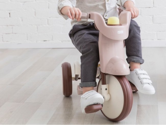 3-in-1 Folding Tricycle with Canopy