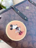 COACH  LB0612005030028  size: 30x27cm