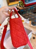 DIOR  LB5912005020153  size: 18x15cm 无库存