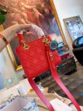 DIOR  LB5912005020153  size: 18x15cm 无库存