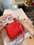 DIOR  LB5912005020153  size: 18x15cm 无库存