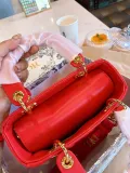 DIOR  LB5912005020153  size: 18x15cm 无库存