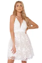 Cross Hollow-out Back Lace Dress