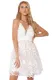 Cross Hollow-out Back Lace Dress