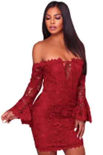 Purplish Red Crochet Overlay Off The Shoulder Fitted Mini Dress