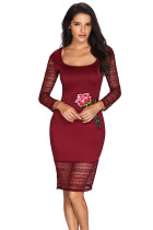 Rose Embroidery Wine Lace Mesh Bodycon Dress
