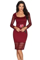 Rose Embroidery Wine Lace Mesh Bodycon Dress