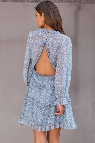 Sky Blue Ruffle Detailing Open Back Floral Dress