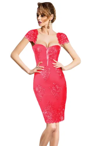 Pink Embroidered Cap Sleeves Bodycon Party Dress