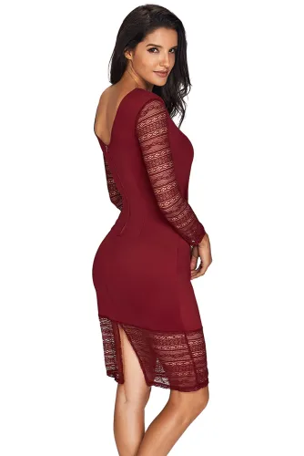 Rose Embroidery Wine Lace Mesh Bodycon Dress