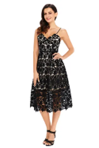 Black Lace Hollow Out Nude Illusion Party Dress
