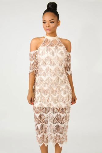 Fringe Sequin Midi Dress