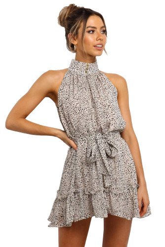 Leopard Print Sleeveless Mini Dress