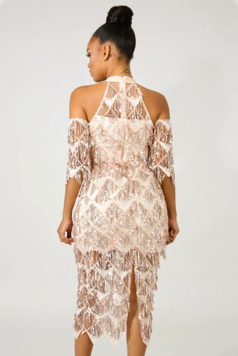 Fringe Sequin Midi Dress