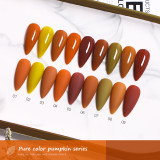 Cat's Eye Pumpkin Nail Polish Series Set