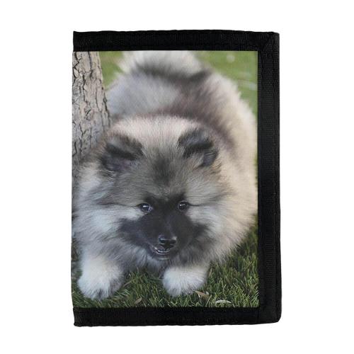 Keeshond Puppy Wallet