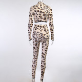 Autumn Party Sexy Leopard Crop Top and Pants Set