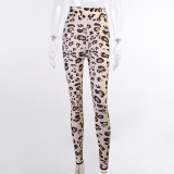 Autumn Party Sexy Leopard Crop Top and Pants Set