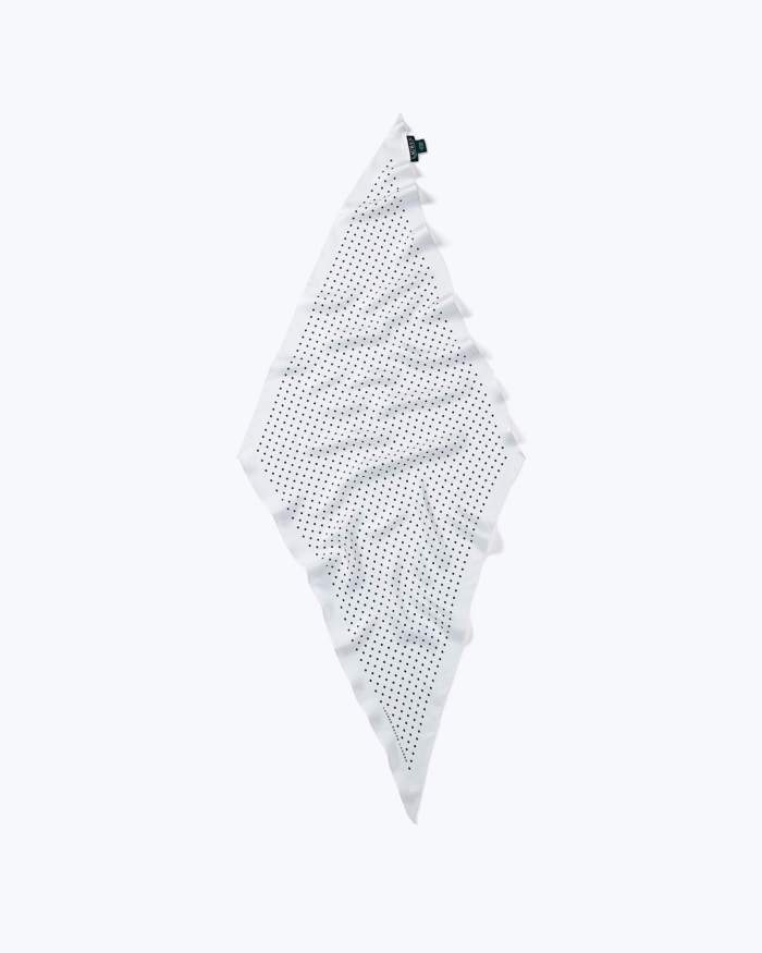 Silk Polka-Dot Scarf