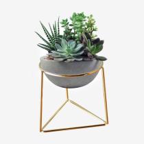 WHITE CERAMIC PLANT FLOWER WHITE CERAMIC PLANT FLOWER