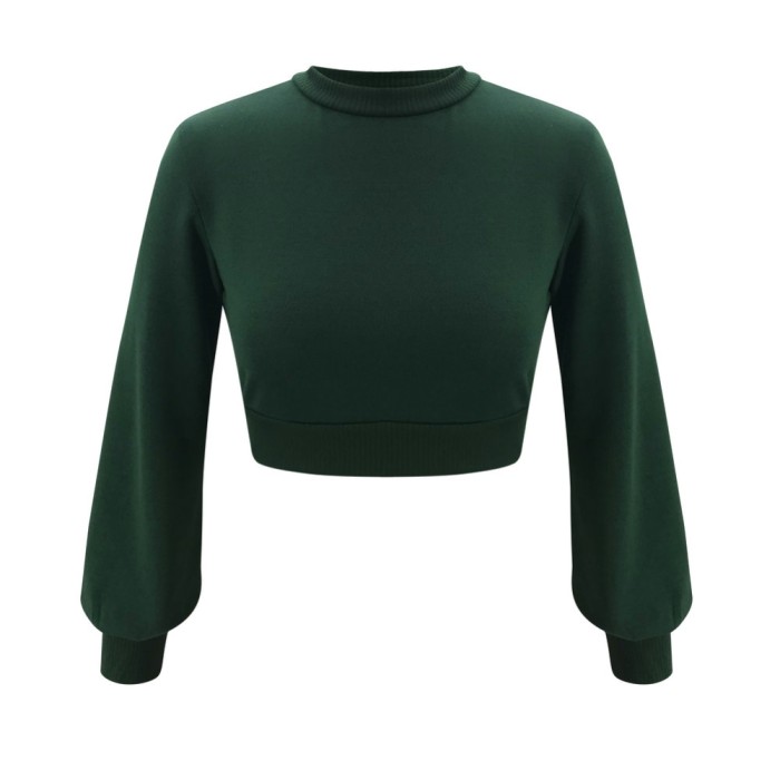 Autumn Knitted Plain Crop Top with Pop Sleeves