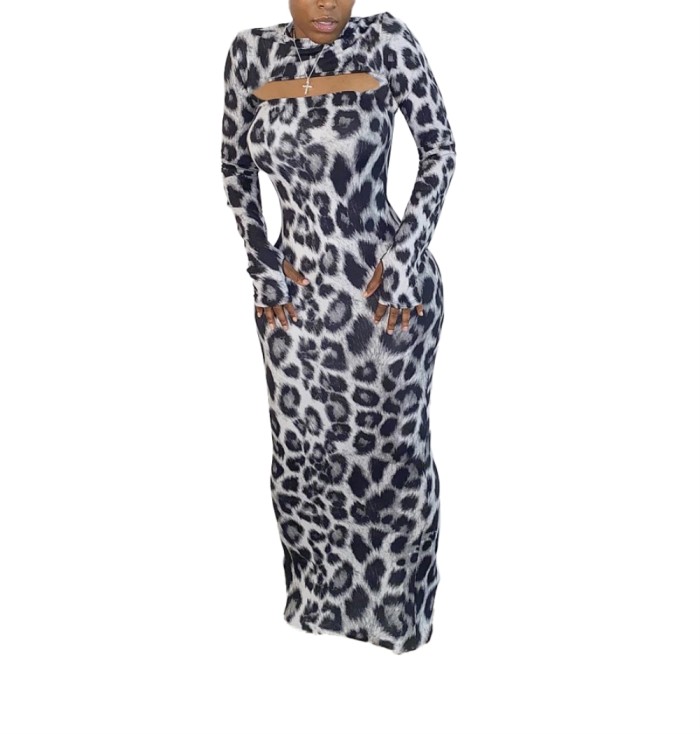Sexy Leopard Print Long Curvy Dress with Full Sleeves