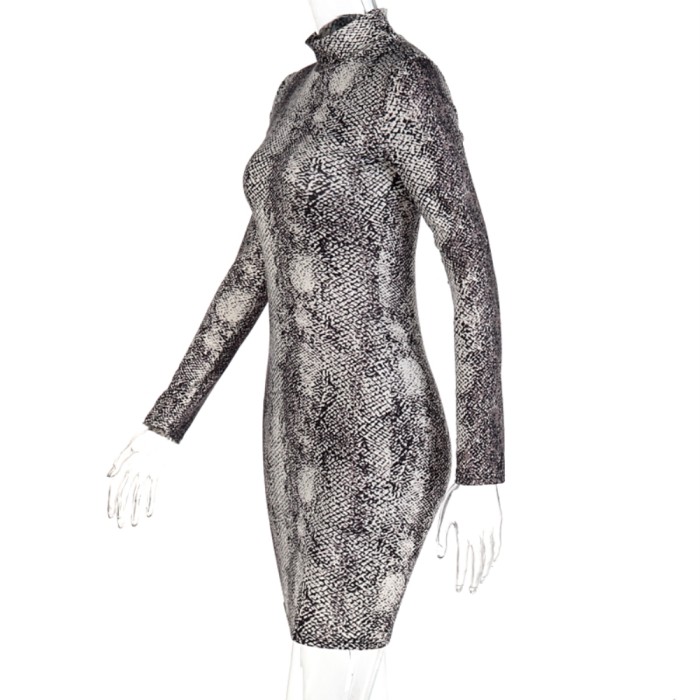 Long Sleeve Snake Skin Mini Club Dress