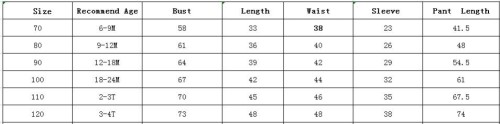 Kids Boy Autumn Two Piece Camou Tracksuit
