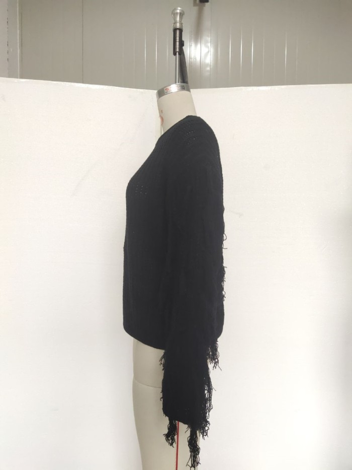 Autumn Plain Regular Sweater with Fringe Sleeves