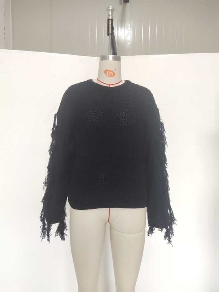 Autumn Plain Regular Sweater with Fringe Sleeves
