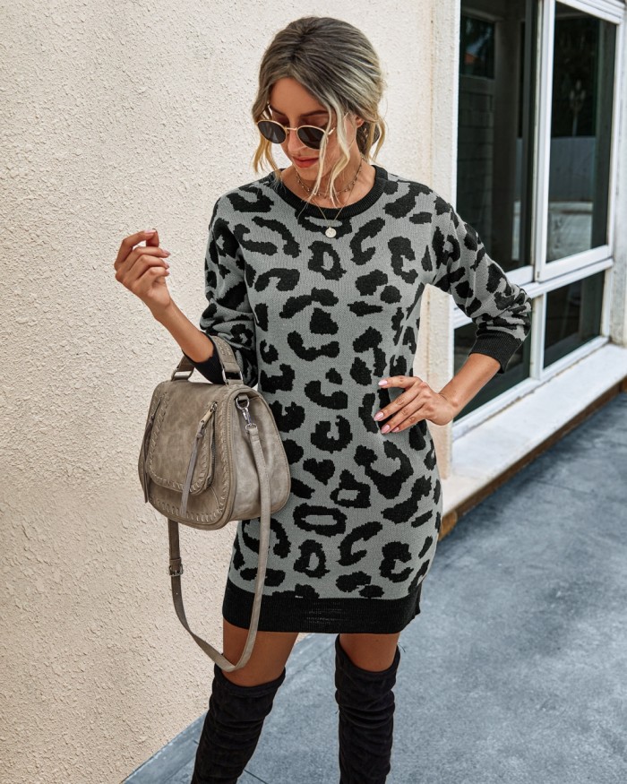 Falls Round Neck Leopard Knit Dress