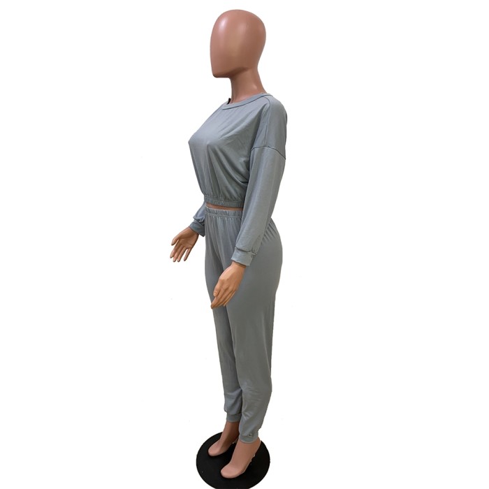 Fall Plain Crop Top and High Waist Legging Set