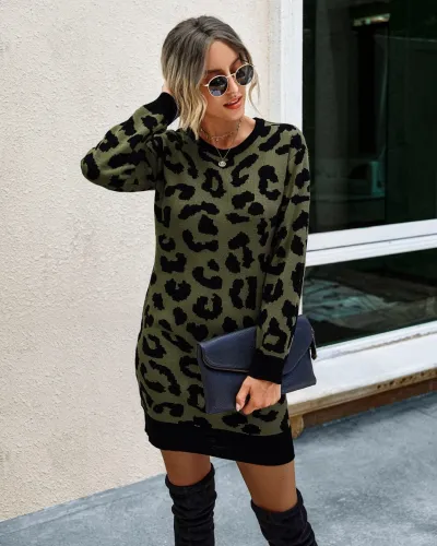 Falls Round Neck Leopard Knit Dress