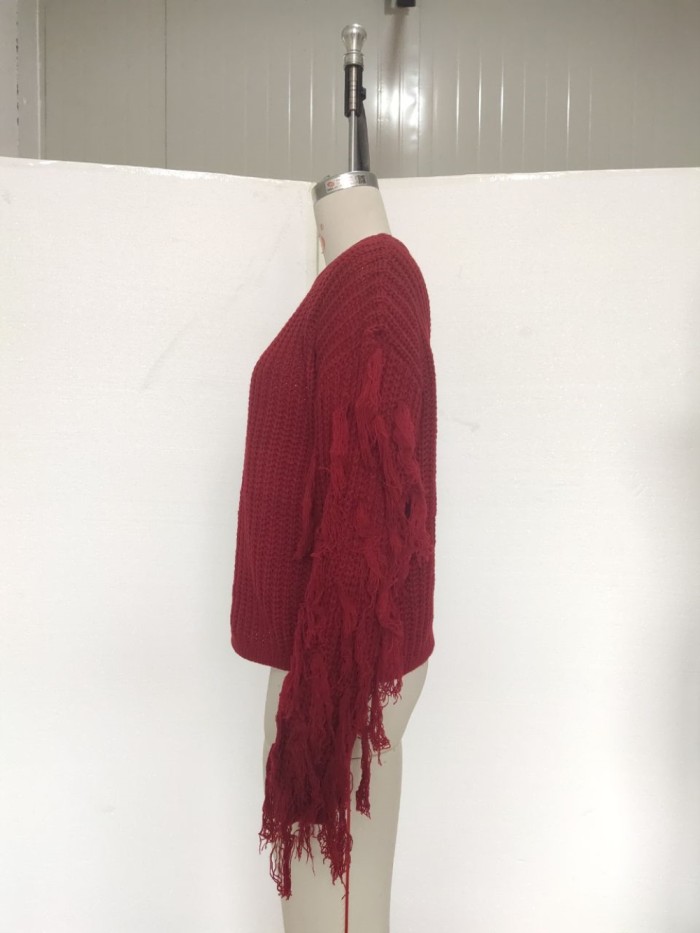 Autumn Plain Regular Sweater with Fringe Sleeves