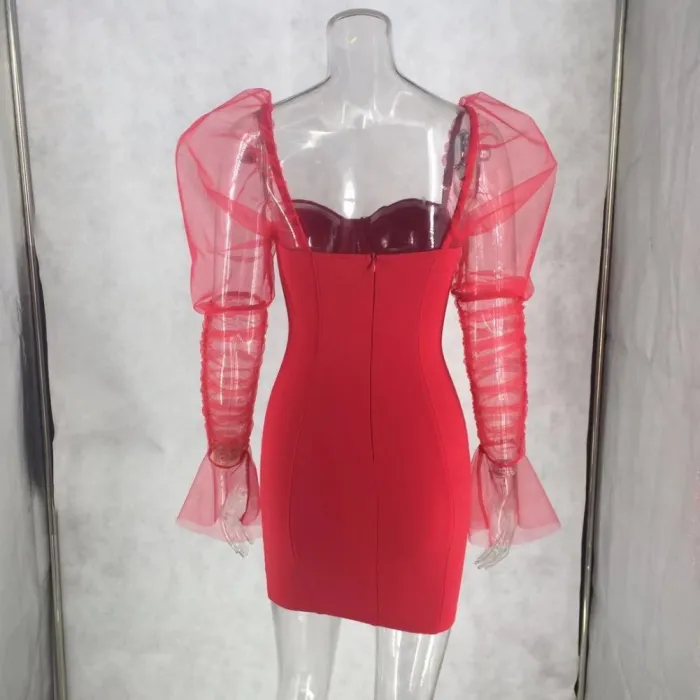 Sexy Vintage Party Dress with Mesh Sleeves