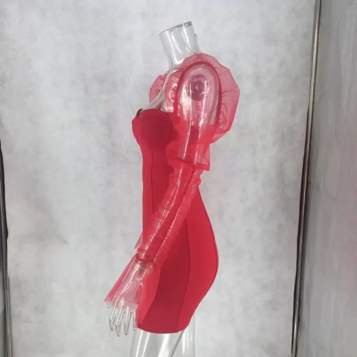 Sexy Vintage Party Dress with Mesh Sleeves