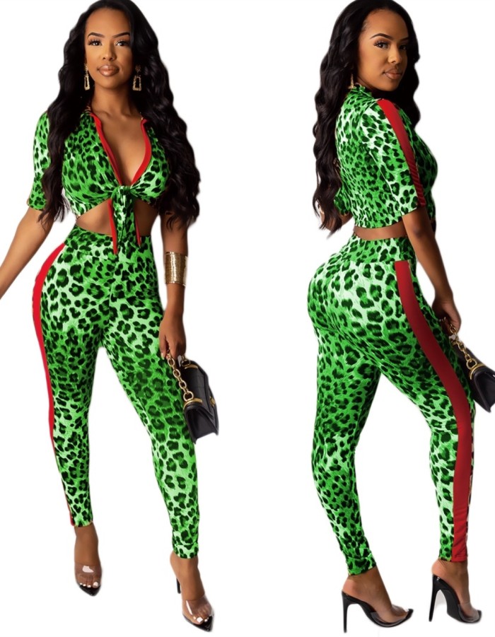Sexy Leopard Crop Top and Pants Set