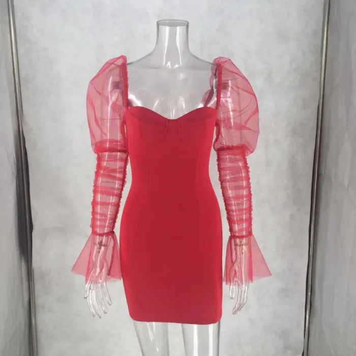 Sexy Vintage Party Dress with Mesh Sleeves
