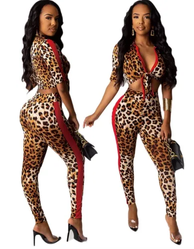 Sexy Leopard Crop Top and Pants Set