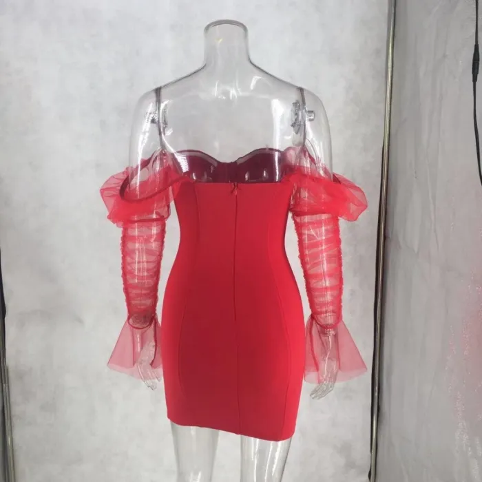 Sexy Vintage Party Dress with Mesh Sleeves