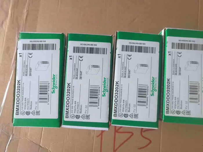 BMXDDO3202K Schneider Discrete output module Original Factory Sealed New