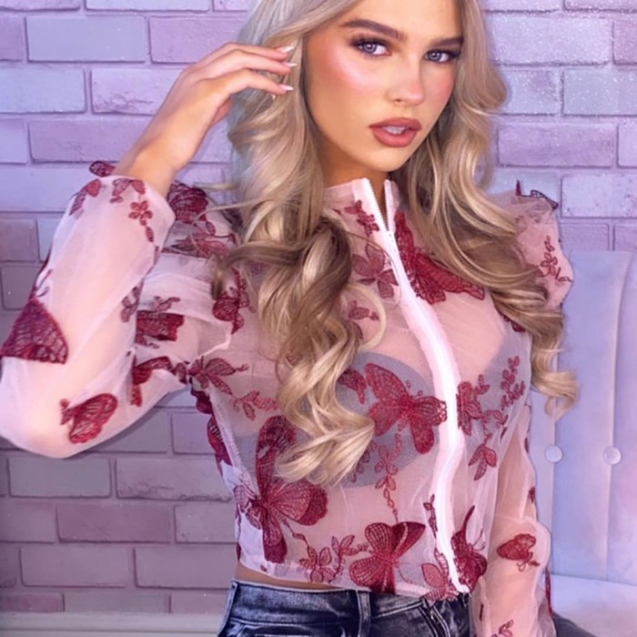 Party Sexy See Through Pink Butterfly Puff Sleeve Top